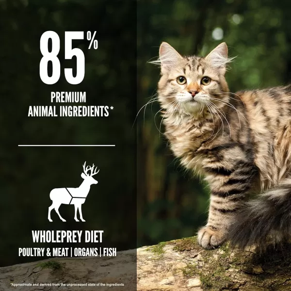 imageORIJEN Dry Cat Food Tundra Biologically Appropriate amp Grain Free12 Pound Pack of 1