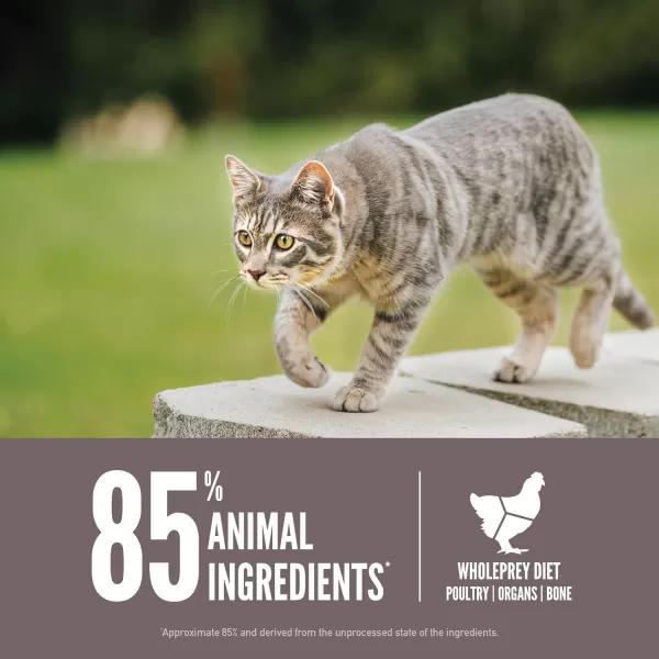 imageORIJEN REGIONAL RED Dry Cat Food Grain Free Cat Food for All Life Stages With WholePrey Ingredients 4lbDry Food Fit amp Trim 12 Pound Pack of 1