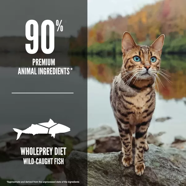 imageORIJEN REGIONAL RED Dry Cat Food Grain Free Cat Food for All Life Stages With WholePrey Ingredients 4lbDry Food Six Fish 4 Pound Pack of 1