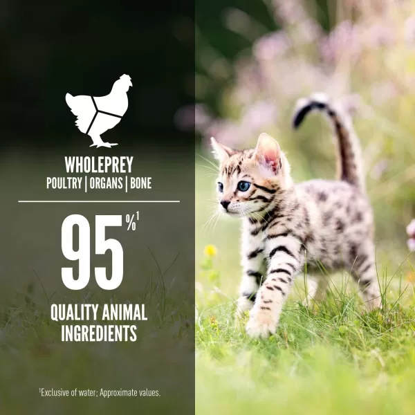 imageORIJEN REGIONAL RED Dry Cat Food Grain Free Cat Food for All Life Stages With WholePrey Ingredients 4lbWet Food Kitten 3 Ounce Pack of 24