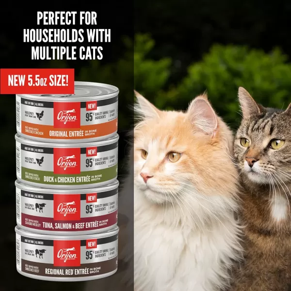 imageORIJEN REGIONAL RED Dry Cat Food Grain Free Cat Food for All Life Stages With WholePrey Ingredients 4lbWet Food Original 55 Ounce Pack of 12