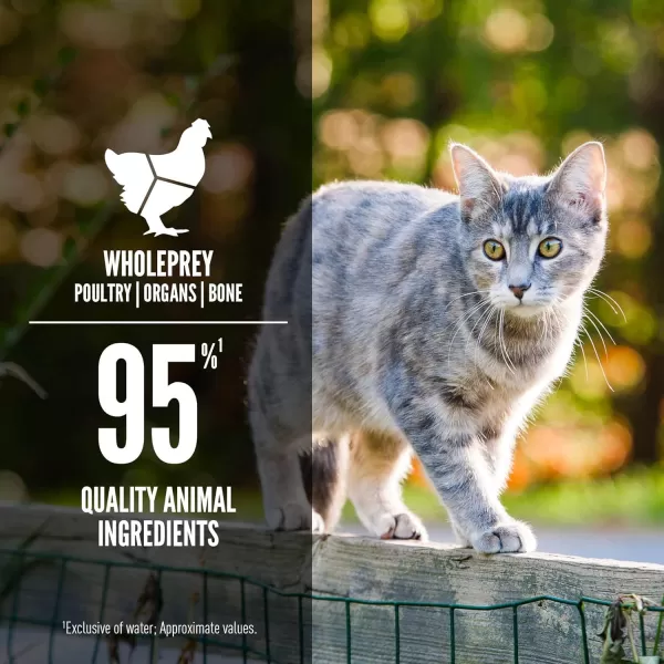 imageORIJEN REGIONAL RED Dry Cat Food Grain Free Cat Food for All Life Stages With WholePrey Ingredients 4lbWet Food Original 55 Ounce Pack of 12