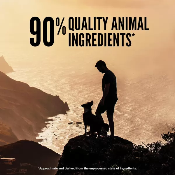 imageORIJEN REGIONAL RED Freeze Dried Medallions Dog Food amp Topper Grain Free Dog Food WholePrey Ingredients 16ozRegional Red 1 Pound Pack of 1