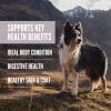 imageORIJEN Amazing Grains Six Fish Recipe Dry Dog Food High Protein Dog Food Fresh or Raw Ingredients 4lbFit  Trim