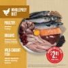 imageORIJEN Amazing Grains Six Fish Recipe Dry Dog Food High Protein Dog Food Fresh or Raw Ingredients 4lbPuppy