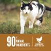 imageORIJEN Original Cat Grain Free Dry Cat Food for All Life Stages with WholePrey Ingredients 4lbOriginal