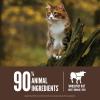 imageORIJEN Original Cat Grain Free Dry Cat Food for All Life Stages with WholePrey Ingredients 4lbRegional Red