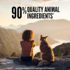 imageORIJEN Regional RED Freeze Dried Medallions Dog Food ampamp Topper Grain Free Dog Food WholePrey Ingredients 16ozOriginal  Patties