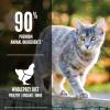 imageORIJEN Original Cat 7LB