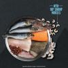imageORIJEN Wild Reserve WildCaught Fish Recipe 35lb