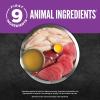 imageORIJEN Chunks Chicken ampamp Tuna Entre for Kittens 55oz case of 6 cans