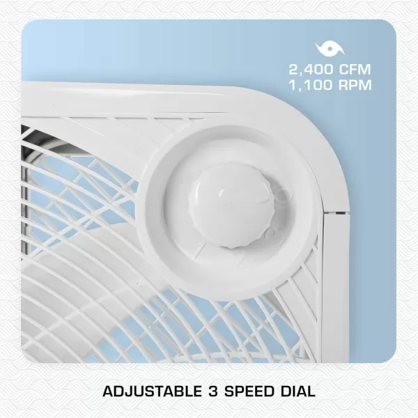 Hurricane Classic 20" Floor Box Fan – Compact and Portable, Powerful and Quiet 3-Speed Cooling for Home, Greenhouse, Office, Gym, Garage, and Workshop