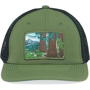 imageSunday Afternoons Artist Series Patch Trucker CapAncient Grove