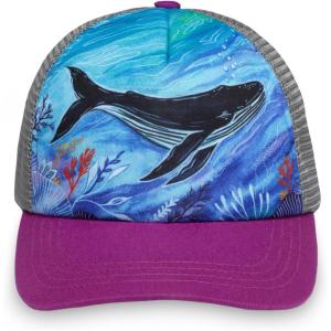 imageSunday Afternoons Kids Artist Series TruckerWhale Song