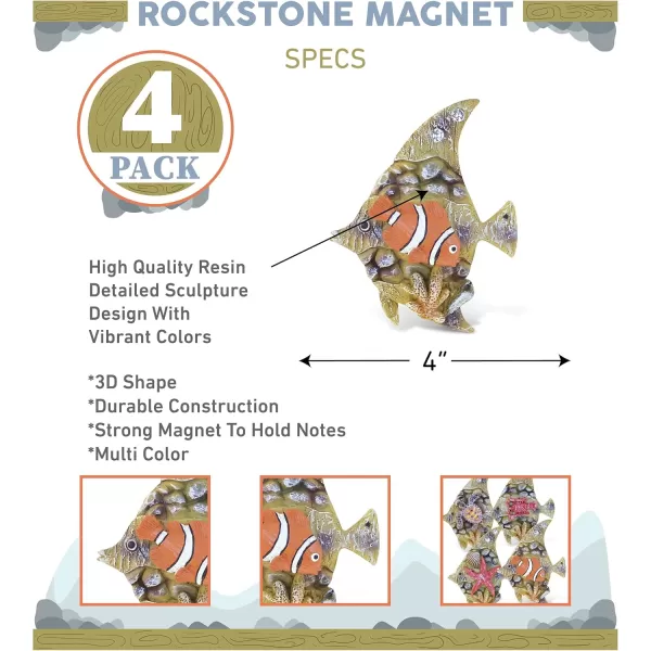 CoTa Global Angel Fish Refrigerator Rockstone Magnets Set of 4  Assorted Resin Beach Design Fun ampamp Cute Sea Ocean Animal Magnet For Kitchen Fridge Locker Home Decor ampamp Office Decor Novelty  4 Pack