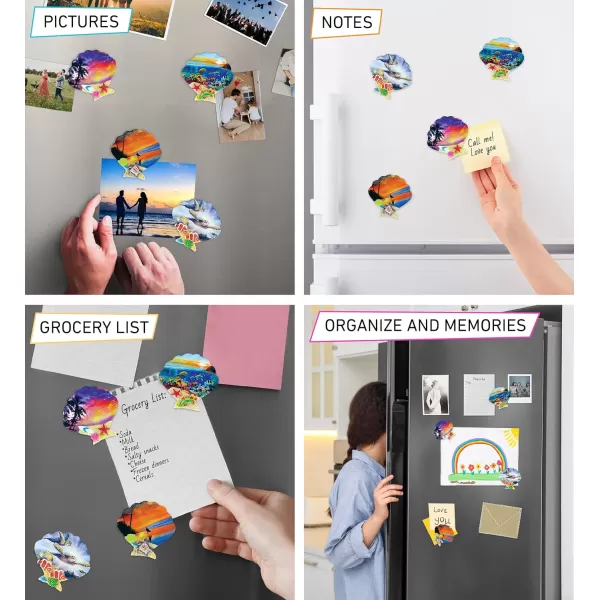 CoTa Global Shell Refrigerator Summer Magnets Set of 4  Assorted Sea Shell Resin Tropical Beach Design Fun ampamp Cute Sea Life Magnets for Kitchen Fridge Locker Home ampamp Office Decor Novelty  4 Pack