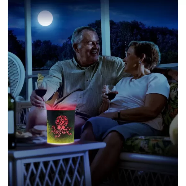 Puzzled COTA Global LED Lantern Surfs Up  51 inch x 63 inch  Multicolor  Item 9691BlackGreen Octopus