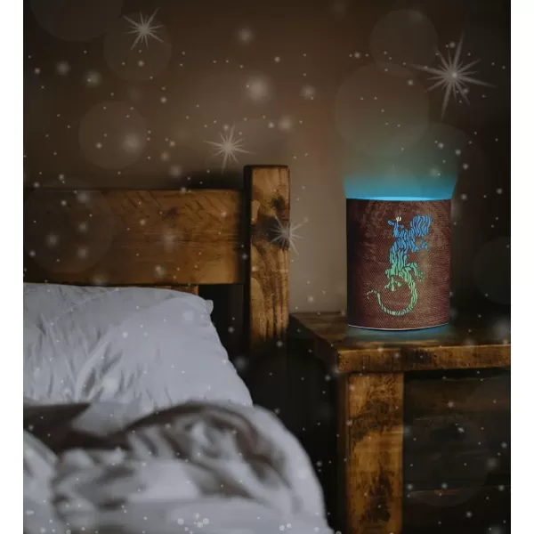 Puzzled COTA Global LED Lantern Surfs Up  51 inch x 63 inch  Multicolor  Item 9691Brown Lizard