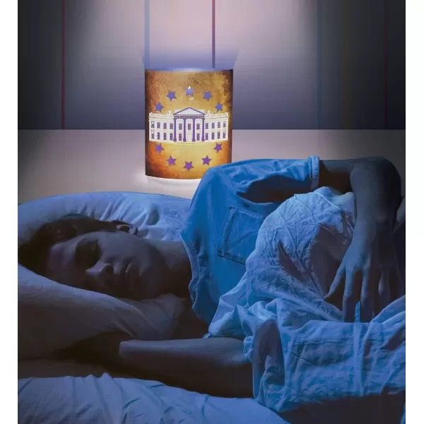 Puzzled COTA Global LED Lantern Surfs Up  51 inch x 63 inch  Multicolor  Item 9691Brown The White House