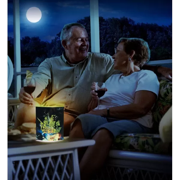 Puzzled COTA Global LED Lantern Surfs Up  51 inch x 63 inch  Multicolor  Item 9691Dark Blue Pirate Ship