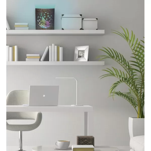 Puzzled COTA Global LED Lantern Surfs Up  51 inch x 63 inch  Multicolor  Item 9691Gray Wolf