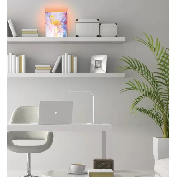 Puzzled COTA Global LED Lantern Surfs Up  51 inch x 63 inch  Multicolor  Item 9691PinkPurple Flamingo