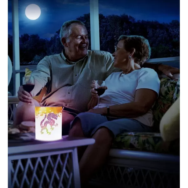 Puzzled COTA Global LED Lantern Surfs Up  51 inch x 63 inch  Multicolor  Item 9691WhiteOrange Dragon