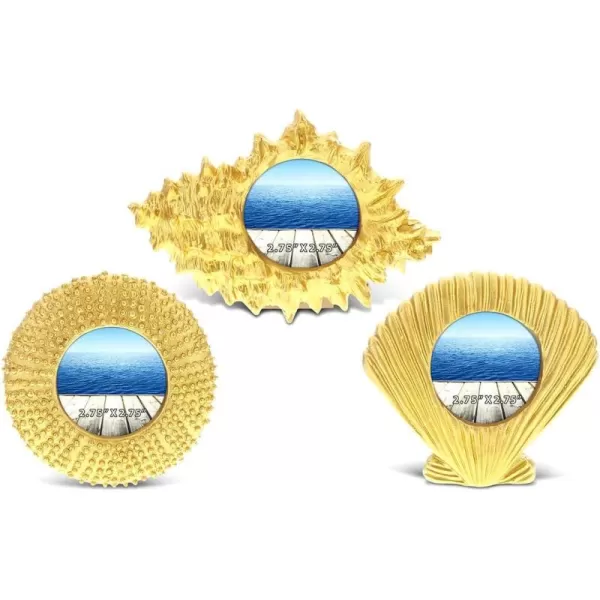 CoTa Global Resin Gold Ocean Inspired 275x275 Beach Frames  Resin Seashell Photo Frames Handmade Picture Frame for Tabletop Decor 675 Inch Set of 3