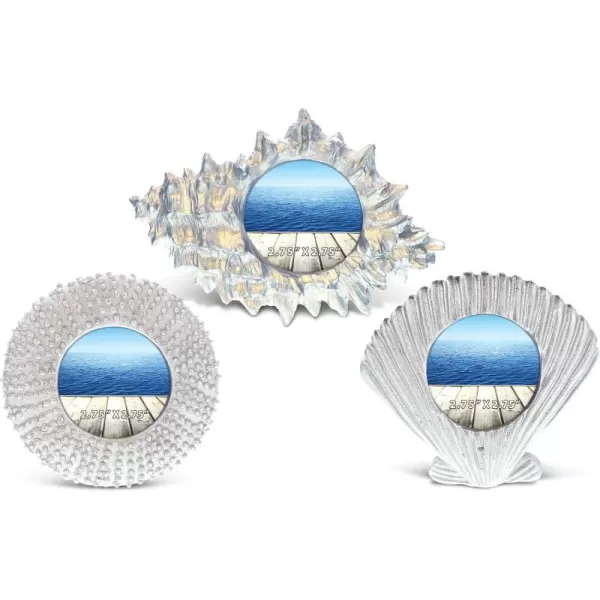 CoTa Global Resin Silver Ocean Inspired 275x275 Beach Frames  Resin Seashell Photo Frames Handmade Tropical Nautical Picture Frame Tabletop Decor 675 Inch Set of 3