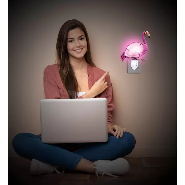 Puzzled Glass Art Night Light Plug in Decorative Socket Lamp Manual On ampamp Off Portable Light for Stairway Bedroom Bathroom Nursery Home Accessory ampamp Kitchen Decor  Flamingo