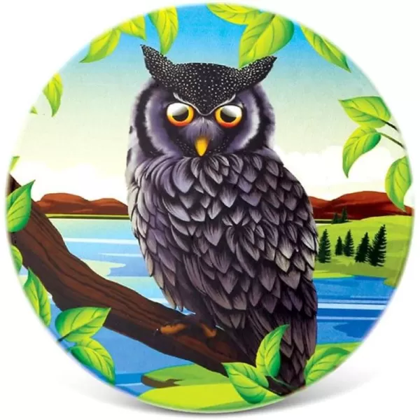 CoTa Global Dark Grey Owl Ceramic Coaster 4 Inch Intricate ampamp Meticulous Detailing Art Handcrafted Decorative Drinkware Plate Board Novelty Coasters Wildlife Birds Themed Home ampamp Kitchen Accessory
