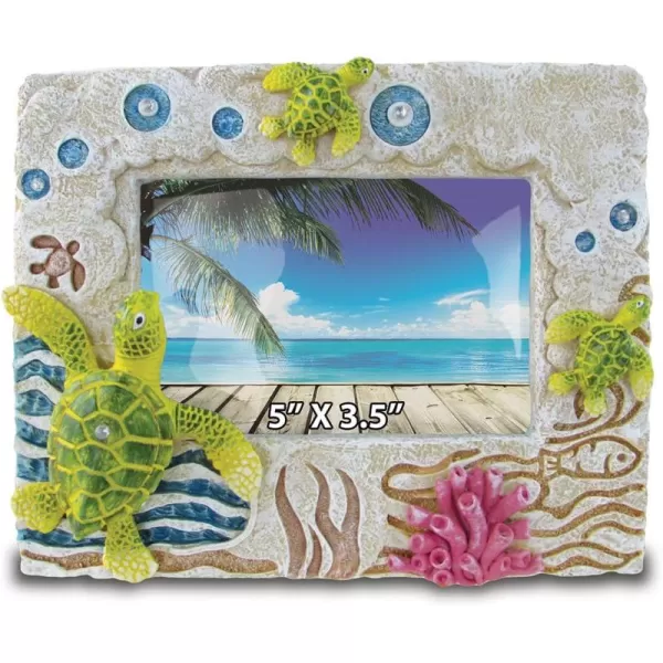 Puzzled Sea Turtle Nautical Stone Frames