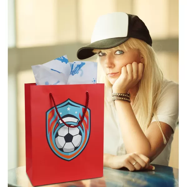 DolliBu Baseball Gift Bags with Tissue Paper 12 Pc Set  Large Reusable Blue Gift Bags Sports Theme with Handles and Matching Baseball Tissue Paper  13 Inch 12 PackRed 12pack