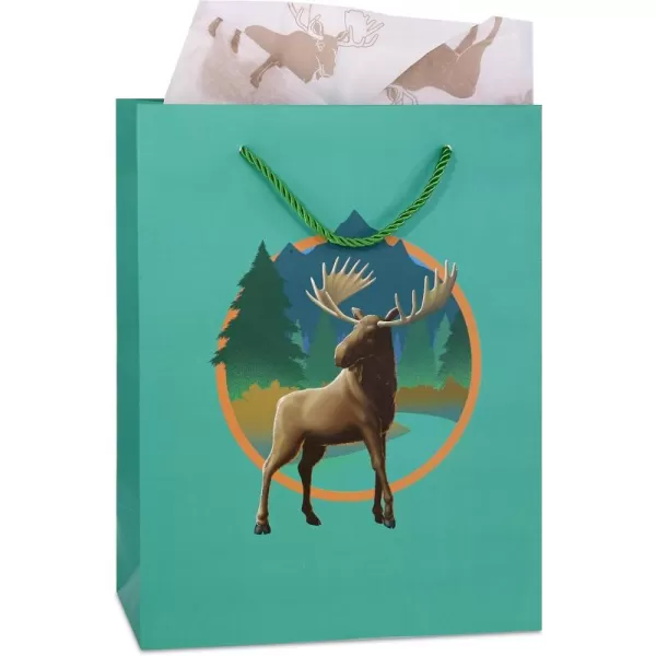 DolliBu Baseball Gift Bags with Tissue Paper 12 Pc Set  Large Reusable Blue Gift Bags Sports Theme with Handles and Matching Baseball Tissue Paper  13 Inch 12 PackGreen Moose
