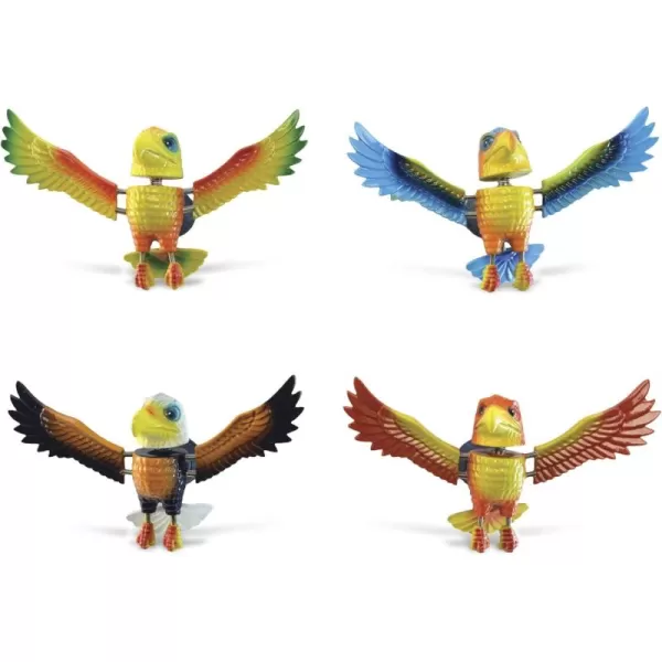 CoTa Global Eagle Refrigerator Bobble Magnets Set of 4  Assorted Color Fun Cute Wild Life Animal Bird Bobble Head Magnets For Kitchen Fridge Home Decor Cool Office and Decorative Novelty  4 Pack