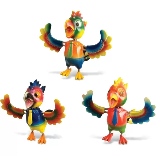 CoTa Global Parrot Refrigerator Bobble Magnets Set of 3  Assorted Color Fun Cute Tropical Bird Bobble Head Magnets for Kitchen Fridge Lockers Home Decor Cool Office and Decorative Novelty  3 Pack