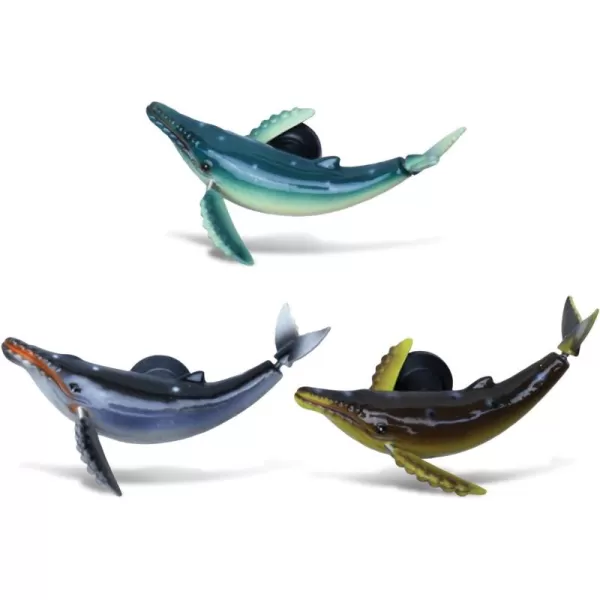 COTA Global Humpback Whale Refrigerator Bobble Magnets Set of 3  Assorted Color Fun Cute Sea Life Animal Bobble Head Magnets for Kitchen Fridge Home Decor Cool Office Decorative Novelty  3 Pack