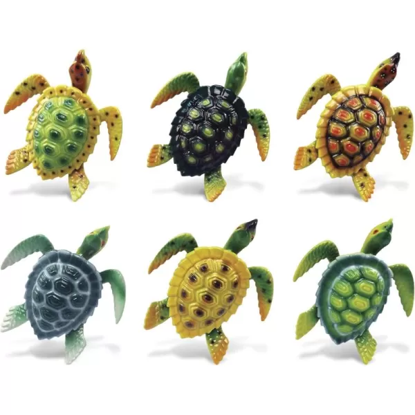 CoTa Global Reef Sea Turtle Refrigerator Bobble Magnets Set of 6  Assorted Color Fun Cute Sea Life Animal Bobble Head Magnets for Kitchen Fridge Home Decor ampamp Cool Office Decorative Novelty  6 Pack