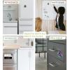 imageCoTa Global Dolphin Refrigerator MDF Epoxy Magnet  Assorted Epoxy Beach Design Fun and Cute Sea Life Animals Magnets for Kitchen Fridge Locker Home Decor and Office Decor Novelty  1 Piece