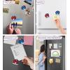 imageCoTa Global Pirate Octopus Refrigerator Nautical Magnets Set of 2  Resin Beach Design Magnet Fun and Cute Ocean Magnets for Kitchen Fridge Locker Home Decor and Office Decor Novelty  2 Pack