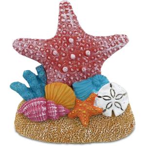 imageCoTa Global Sand Coral Starfish Refrigerator Marine Colorful Magnet  Red Marine Life Resin Beach Design Fun and Cute Ocean Magnet for Kitchen Fridge Locker Home Decor and Office Decor Novelty