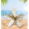imageCoTa Global Resin Starfish Collection  White Orange and Turquoise Starfish Sets Decorative Tabletop Centerpiece Resin Sea Coral Reef Home Accent Decor  Handmade