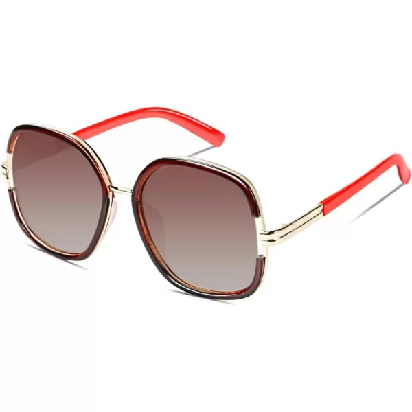 DUCO Women Shades Classic Oversized Polarized Sunglasses 100 UV Protection Eyewear Glasses DC3207