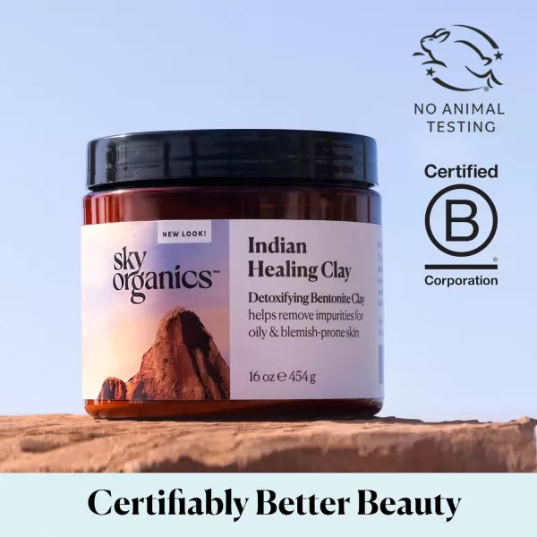 Sky Organics  Indian Healing Clay 16 oz  Detoxifying Bentonite Clay Powder  Exfoliating Face Mask  Pore Cleaner  Combination ampamp Oily Skin  Natural Vegan ampamp Cruelty Free  Skin Care ampamp Self Care1 Pound Pack of 1