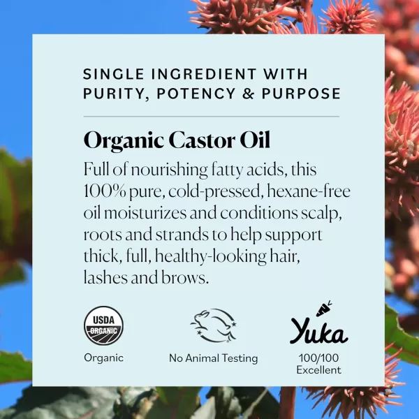 Sky Organics Organic Castor Oil 100 Pure Hexane Free ColdPressed to Support Stronger FullerLooking Hair Eyelashes ampamp EyebrowsGood for Castor Packs Navel Oiling Carrier Oil Use 8 fl ozCastor Oil