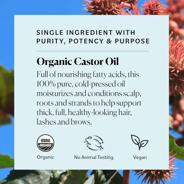 Sky Organics Organic Castor Oil 100 Pure Hexane Free ColdPressed to Support Stronger FullerLooking Hair Eyelashes ampamp EyebrowsGood for Castor Packs Navel Oiling Carrier Oil Use 8 fl ozCastor Oil Lash  Brow Serum