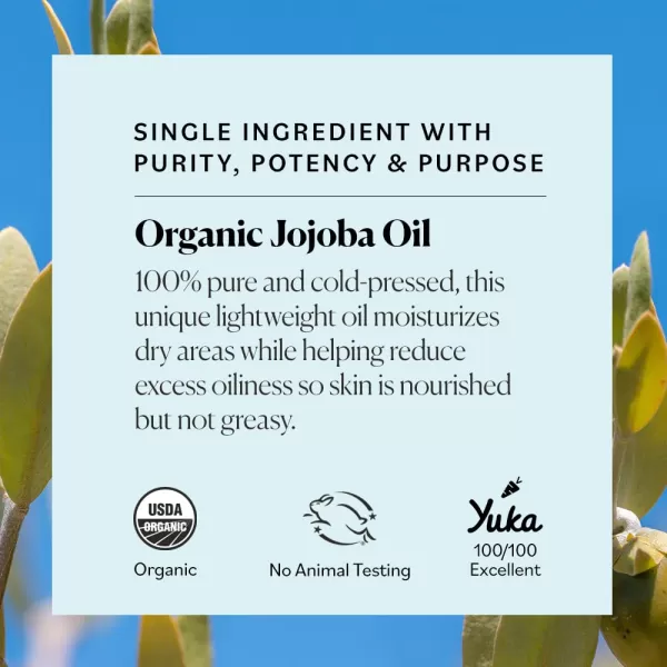 Sky Organics Organic Jojoba Oil for Face Balancing Oil for Light Hydration ampamp Helps Reduce Excess Oiliness Suitable For Oily Combination and BlemishProne Skin 100 Pure ampamp ColdPressed 4 fl Oz1 Fl Oz Pack of 1