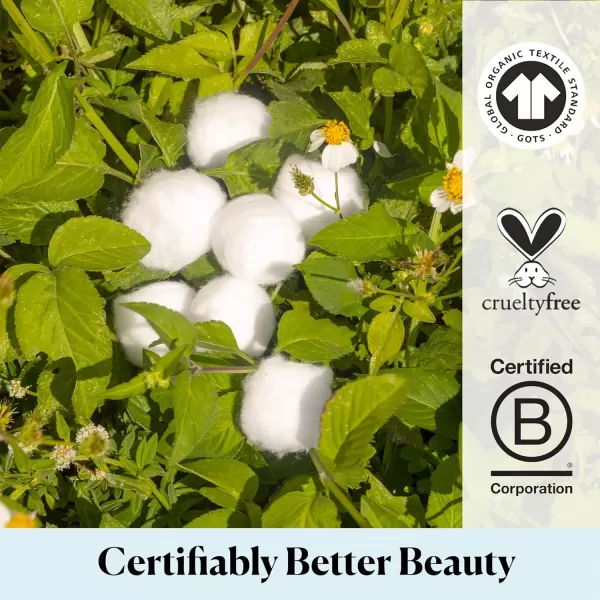 Sky Organics Organic Jumbo Cotton Balls for Sensitive Skin 100 Pure Organic Cotton Sustainably Grown Chlorine Free Hypoallergenic UltraSoft and Absorbant for Beauty ampamp Personal Care 300 ct100 Count Pack of 3