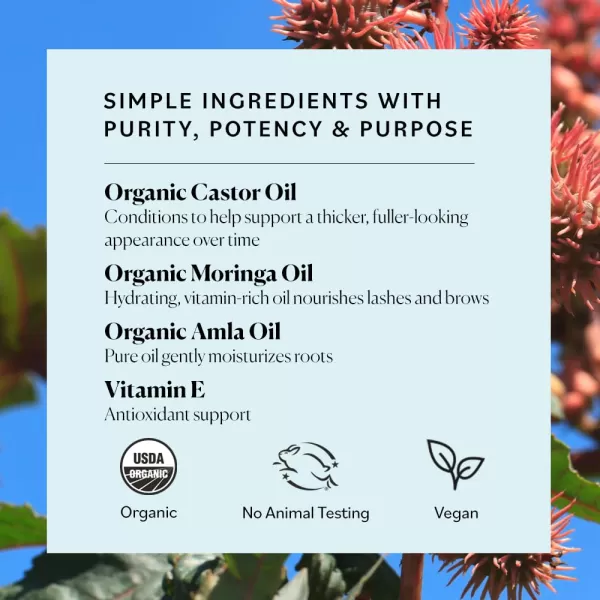 Sky Organics  Organic Lash ampamp Brow Oil ampamp Applicator  Eyelash Serum  Castor Oil Organic  Moringa Amla Vitamin E  Lashes Eyebrows  Hair Oil  Self Care Beauty  Gifts for Women  4 fl oz 12mL