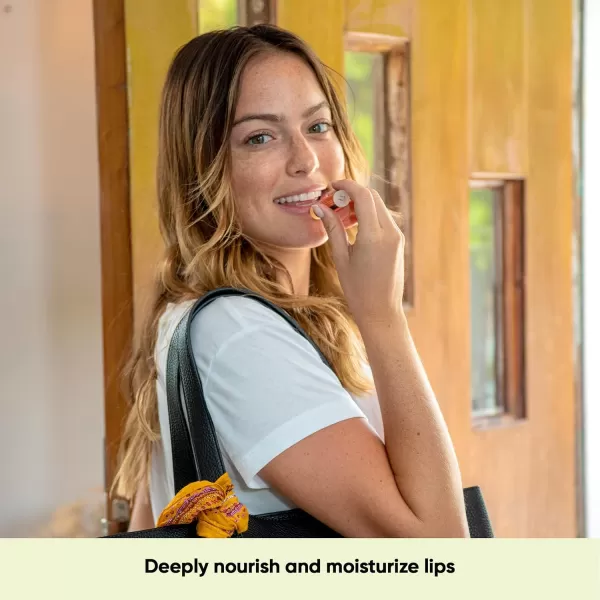 Sky Organics Organic Lip Balm with Beeswax and a Rich Nourishing Blend of Plant Oils Moisturizing Lips Balms to Lock In Moisture and Keep Lips Feeling Soft and Smooth Six Assorted Flavors 6pkWinter Flavors